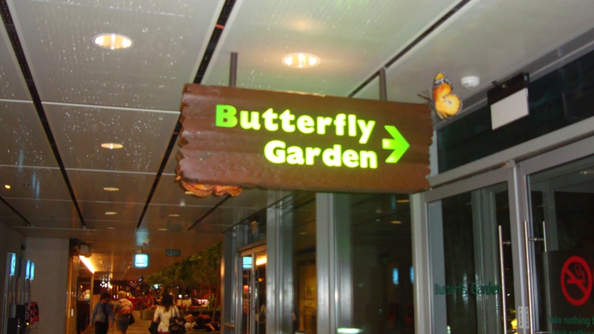 Сад бабочек в аэропорту Сингапура